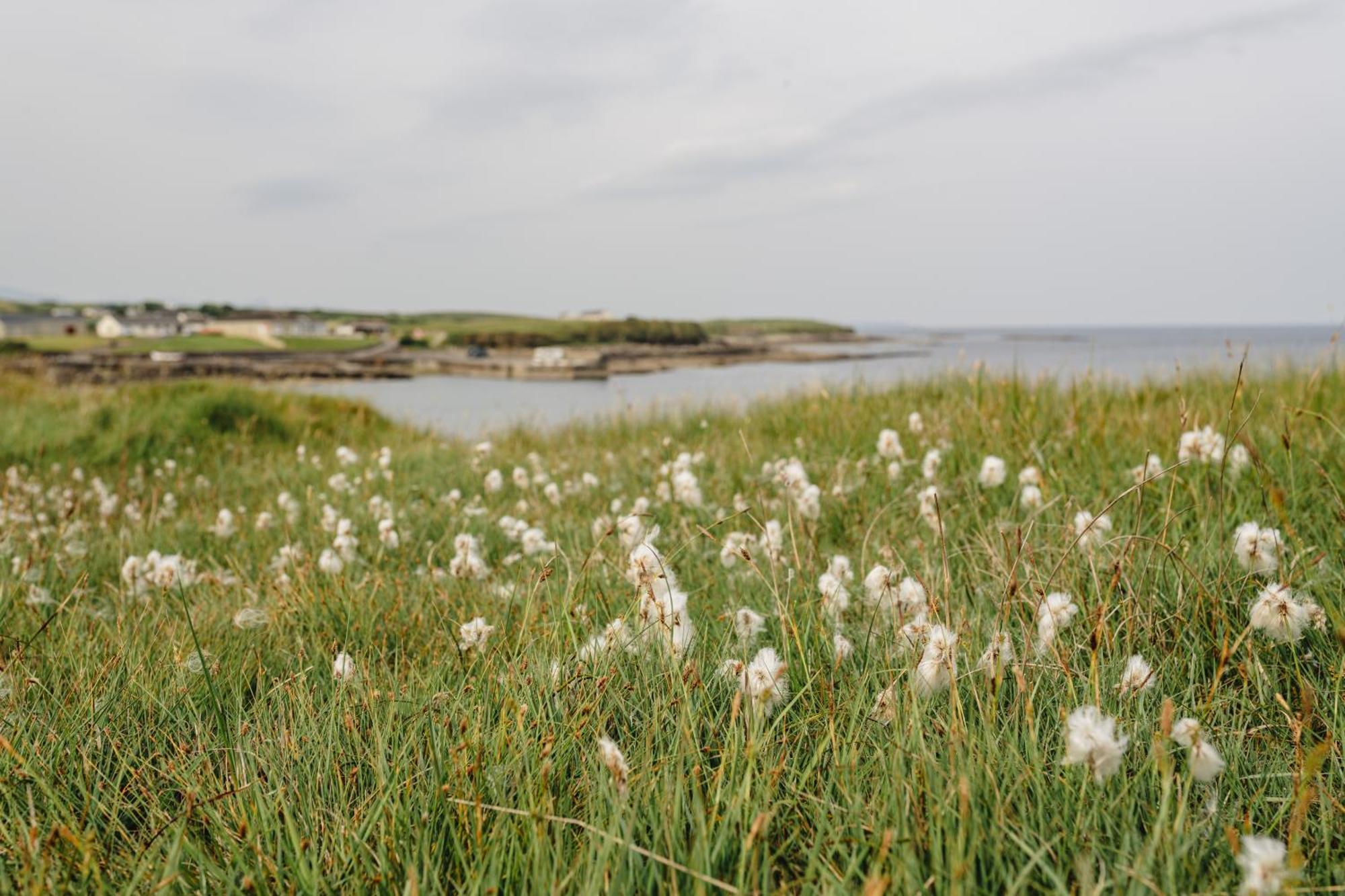 Creevy Cottages Rossnowlagh Eksteriør bilde