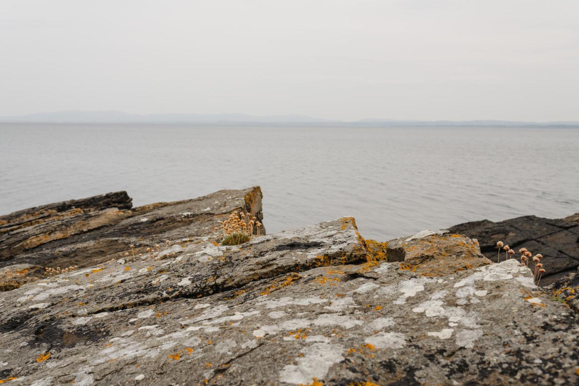 Creevy Cottages Rossnowlagh Eksteriør bilde